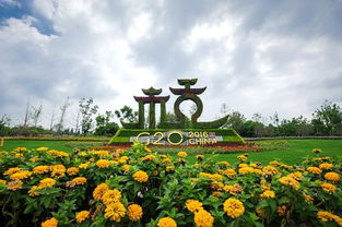 杭州蕭山國際機場迎賓專用道路及環境提升工程景觀綠化 構筑城市門戶的綠色風景線