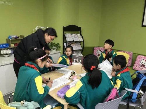 河南教育改革新信號 寒暑假或面臨調(diào)整，教師心聲待關(guān)注